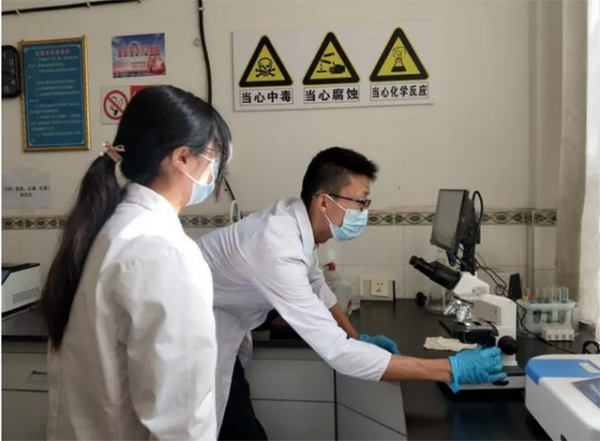 1636093025725457.png image.png